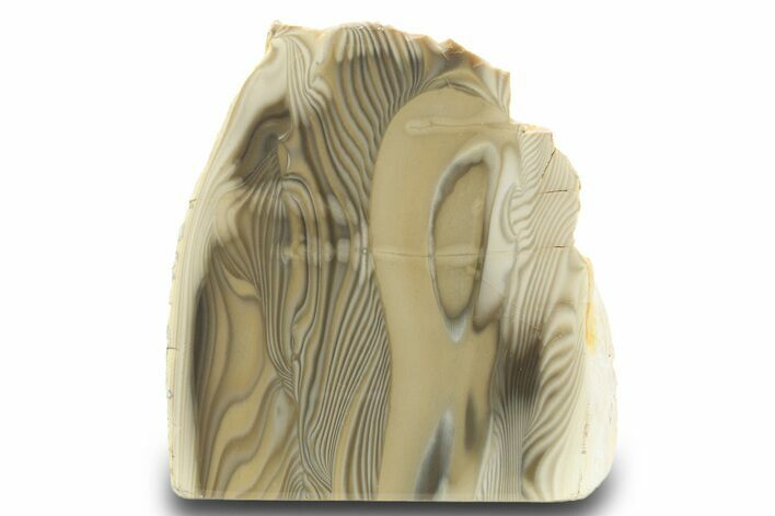 Polished Striped Flint Stand Up - Poland #299362